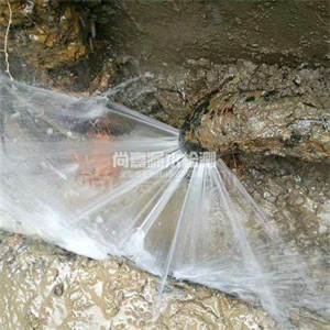 庆云消防管道漏水检测